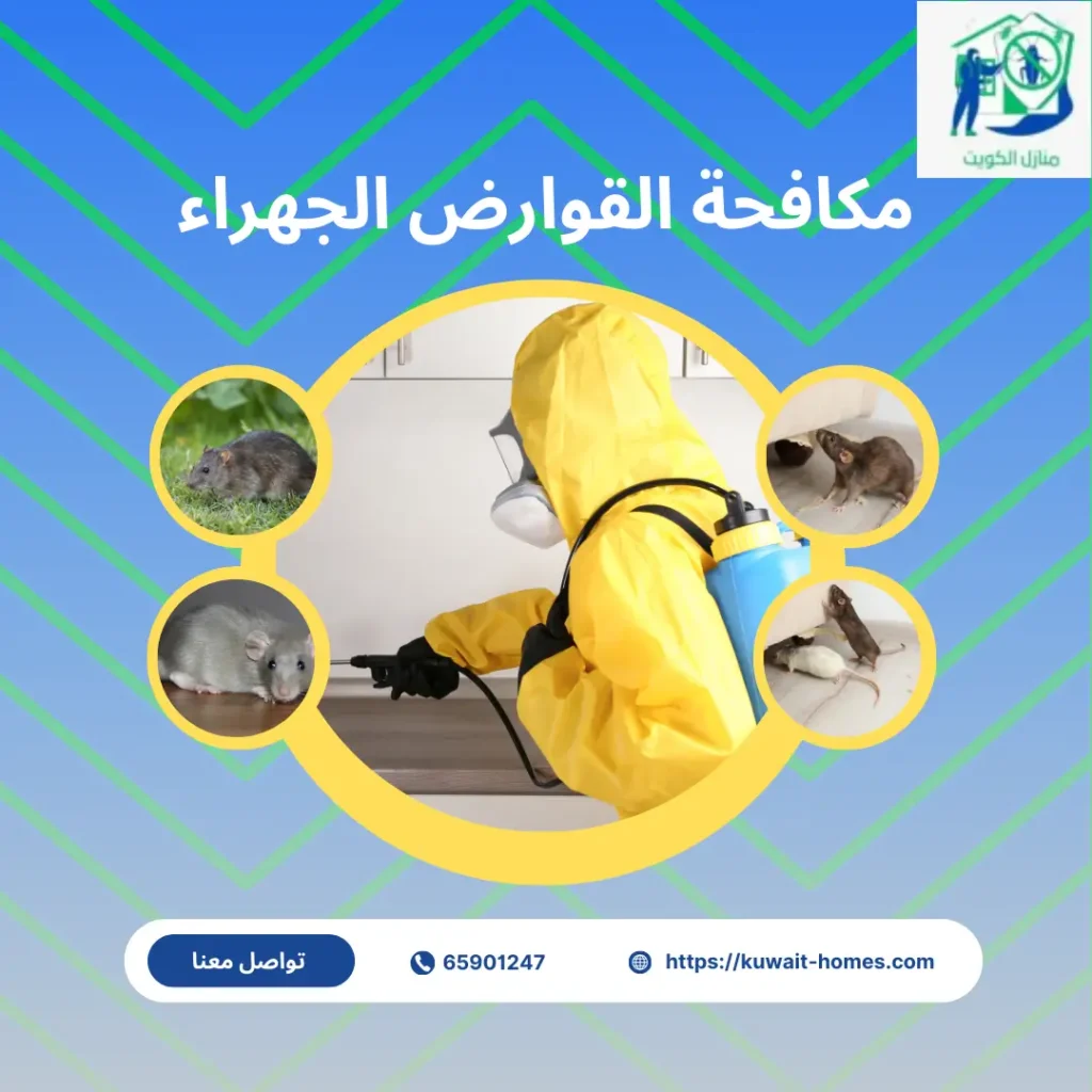 ارخص مكافحة القوارض الجهراء
