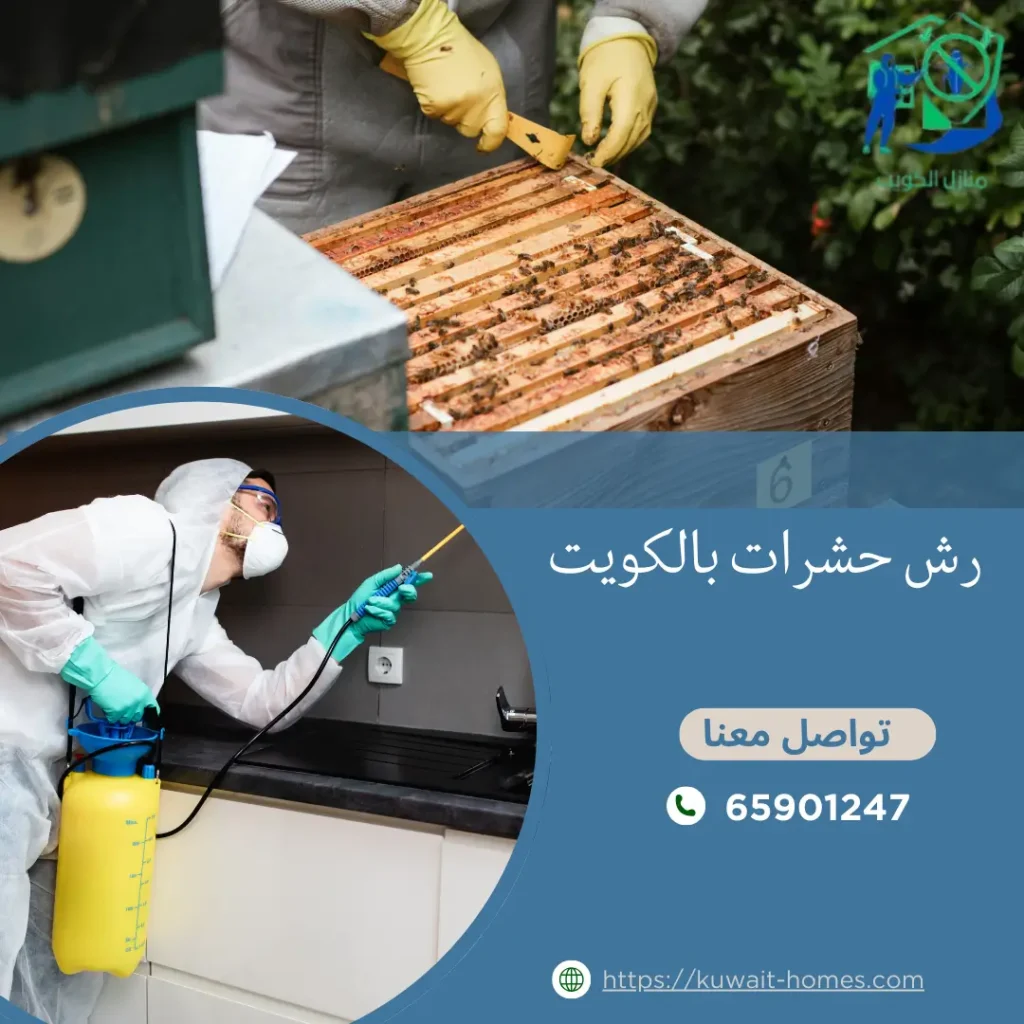 رش حشرات بالكويت