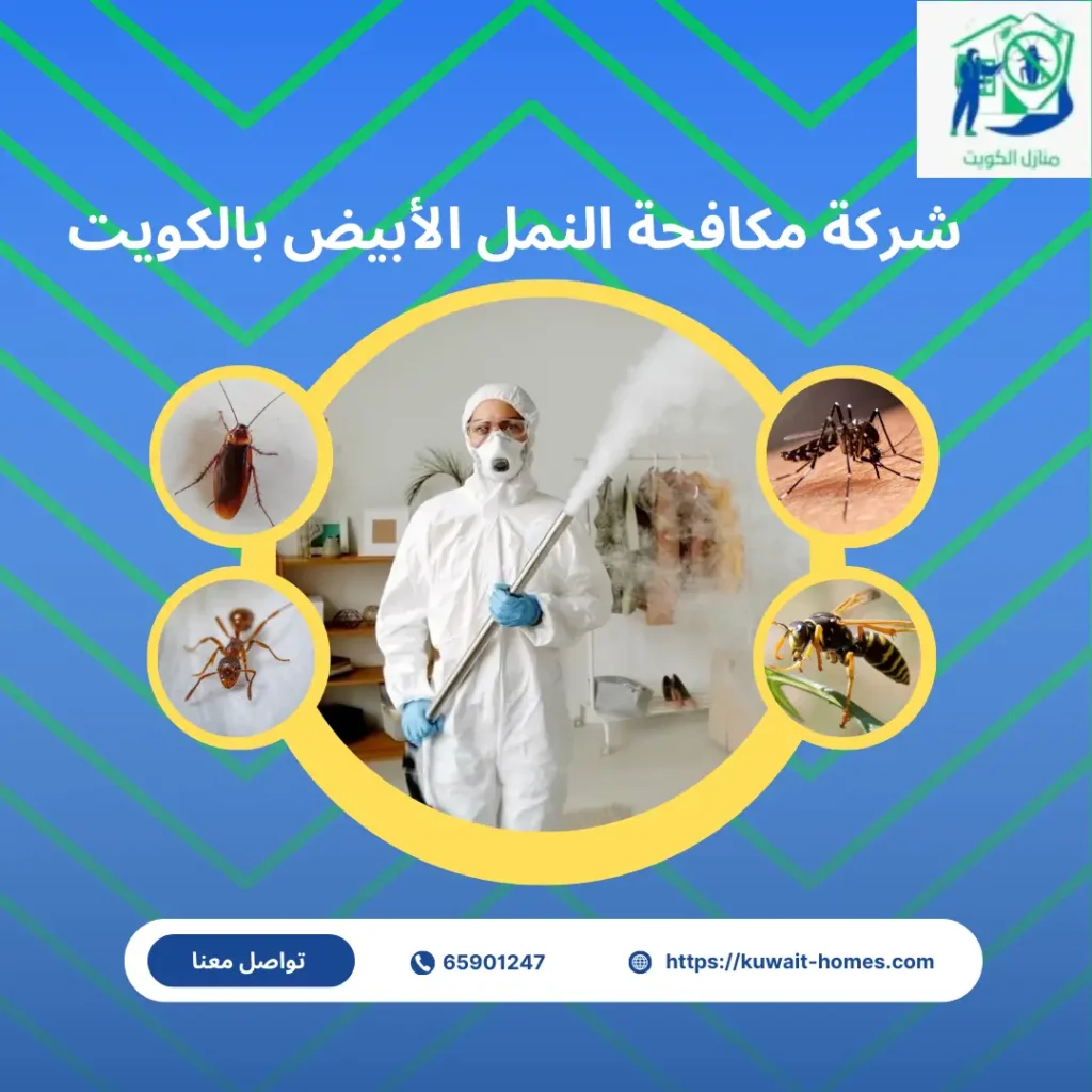 شركة مكافحة النمل الابيض بالكويت رخيصة