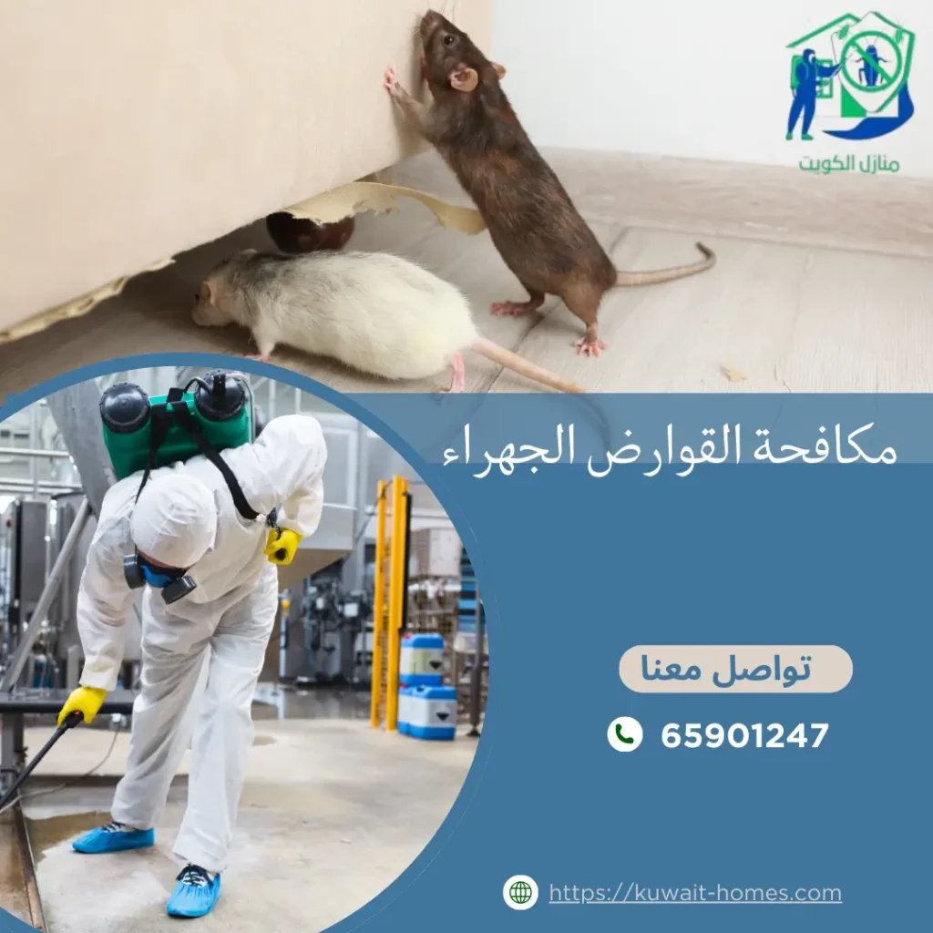 مكافحة القوارض الجهراء