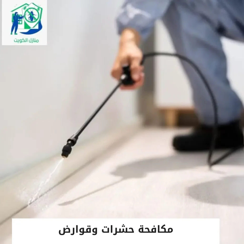 مكافحة حشرات وقوارض